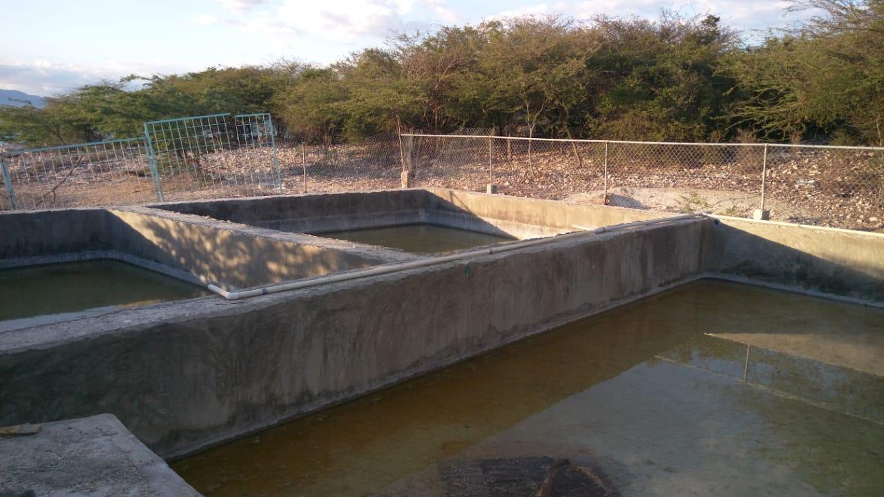 Bassins de la ferme piscicole aménagés au bord du lac Azuei